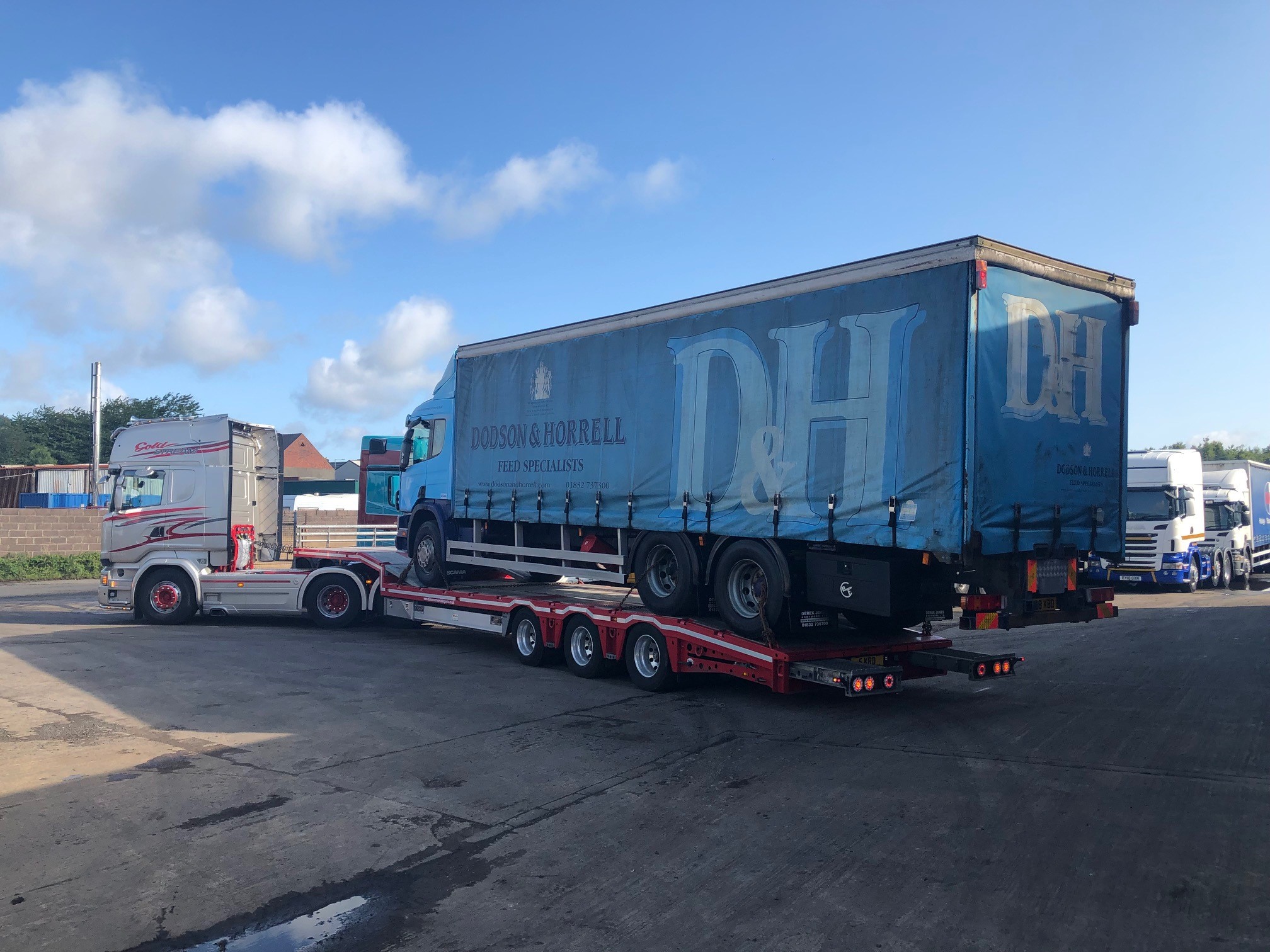 Blue cargo bed